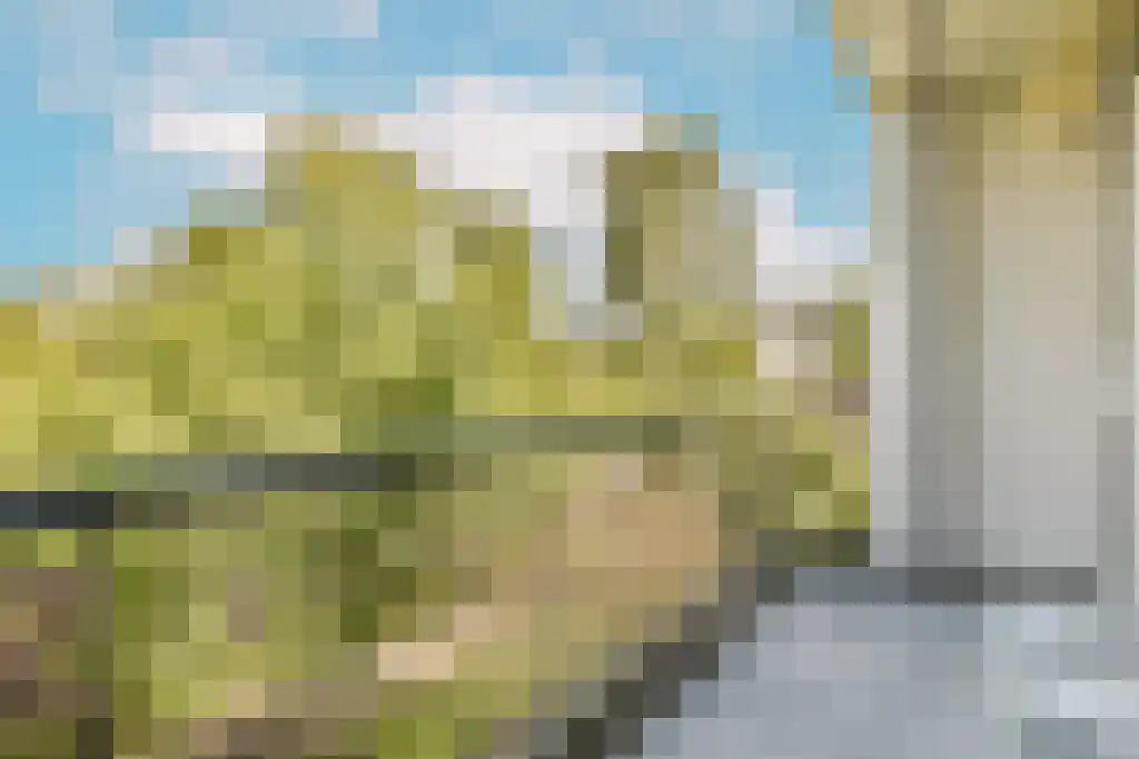Schierstins 47 Amsterdam thumbnail 15