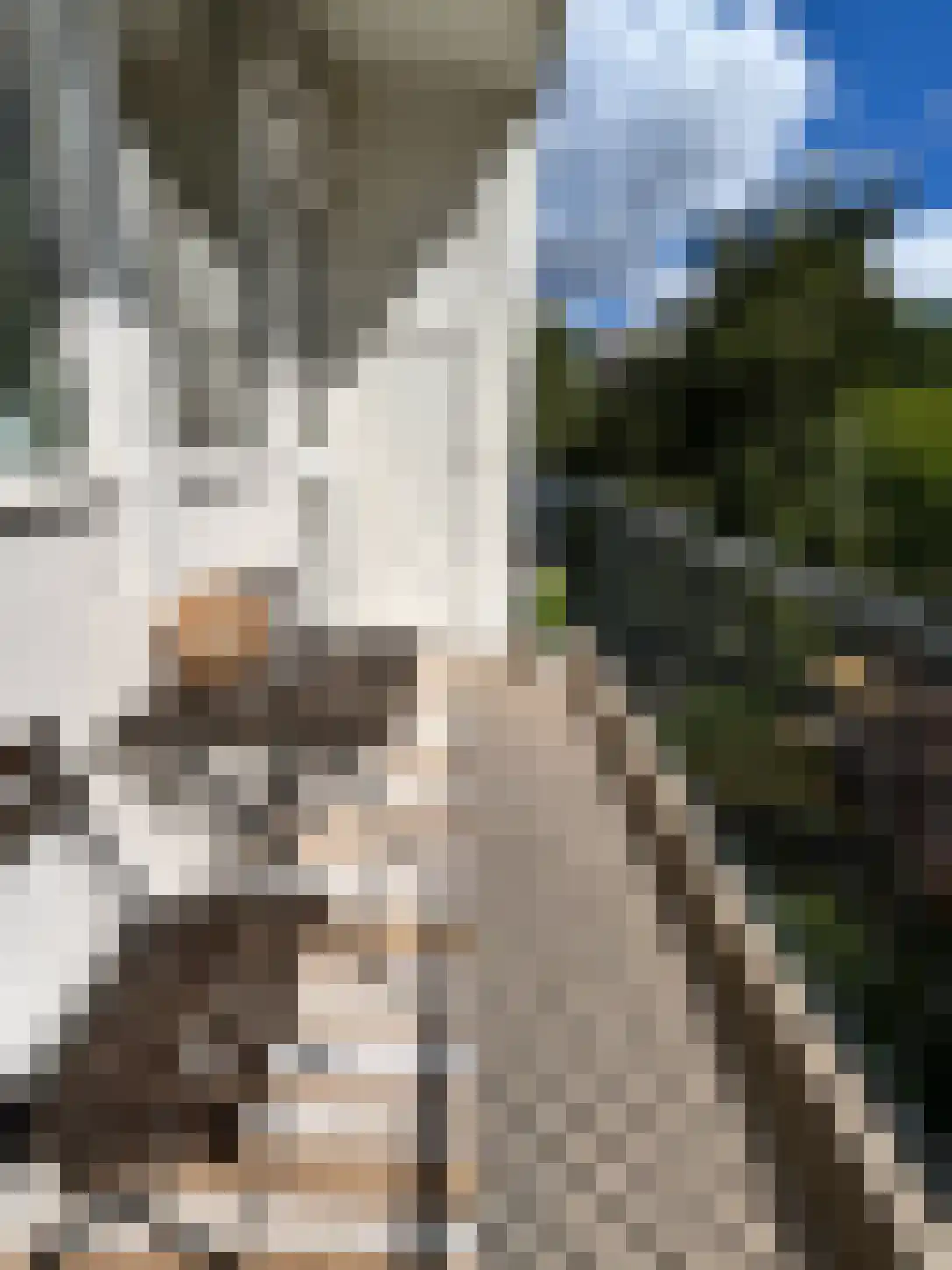 Schierstins 47 Amsterdam thumbnail 24