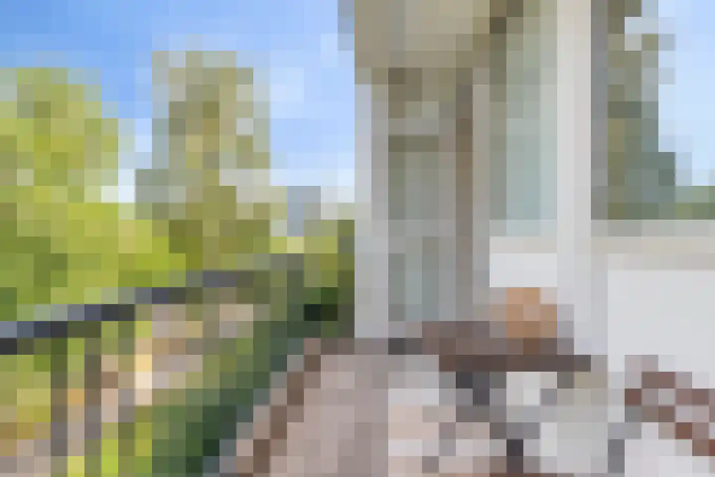 Schierstins 47 Amsterdam thumbnail 25