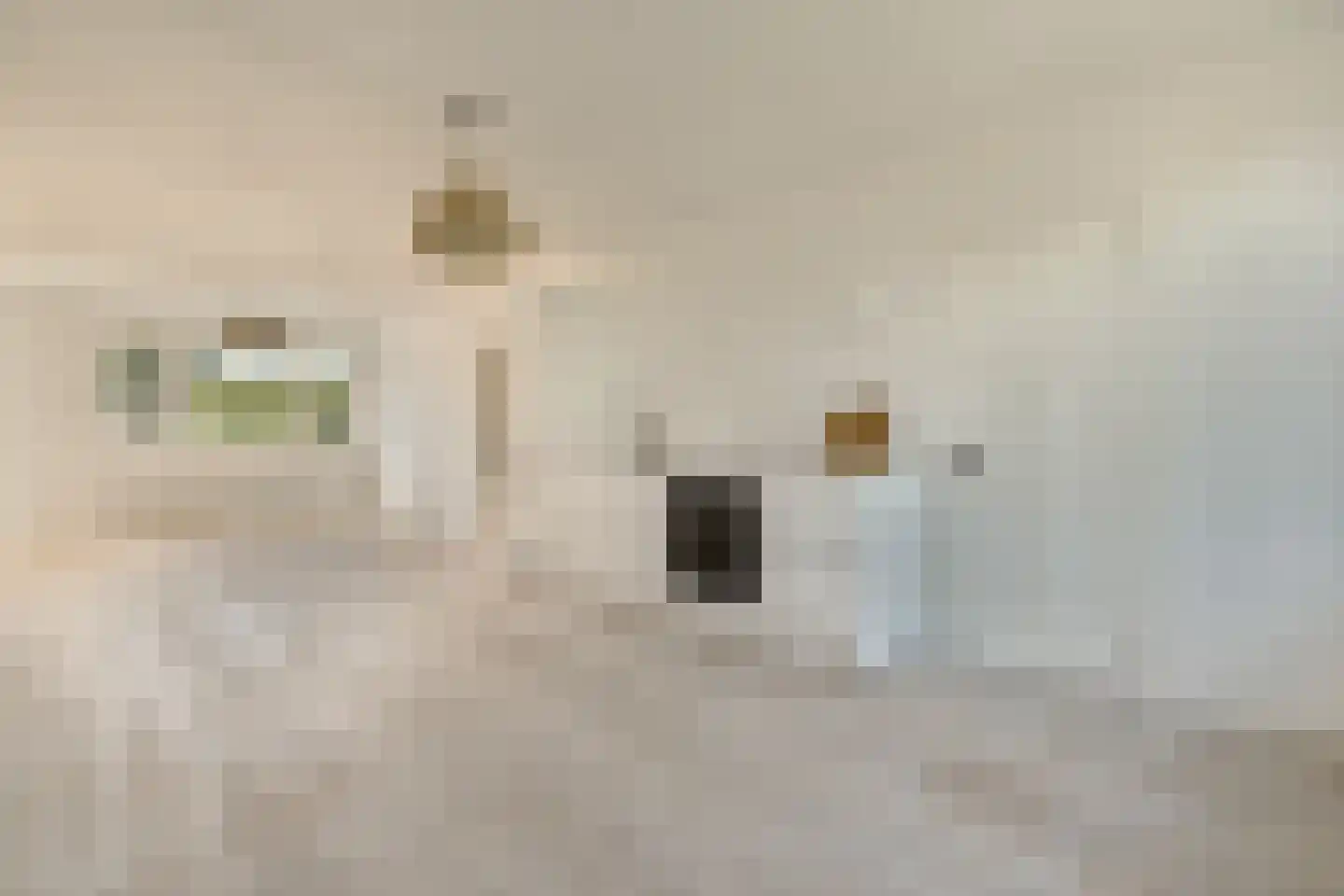 Schierstins 47 Amsterdam thumbnail 5