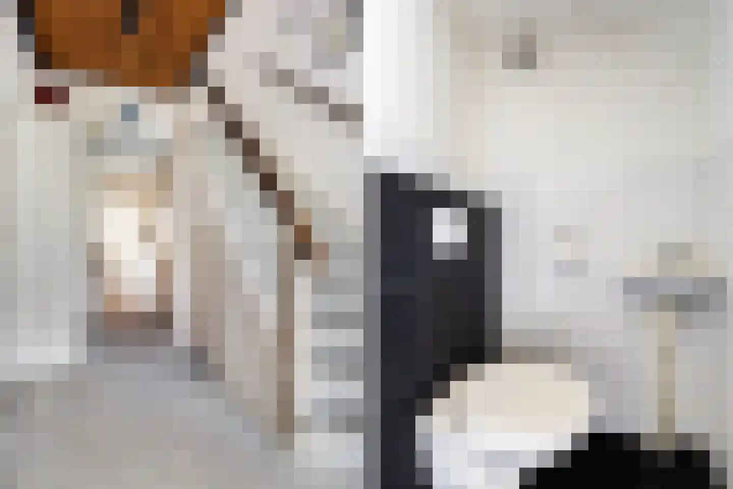 Schierstins 5 Sneek thumbnail 10