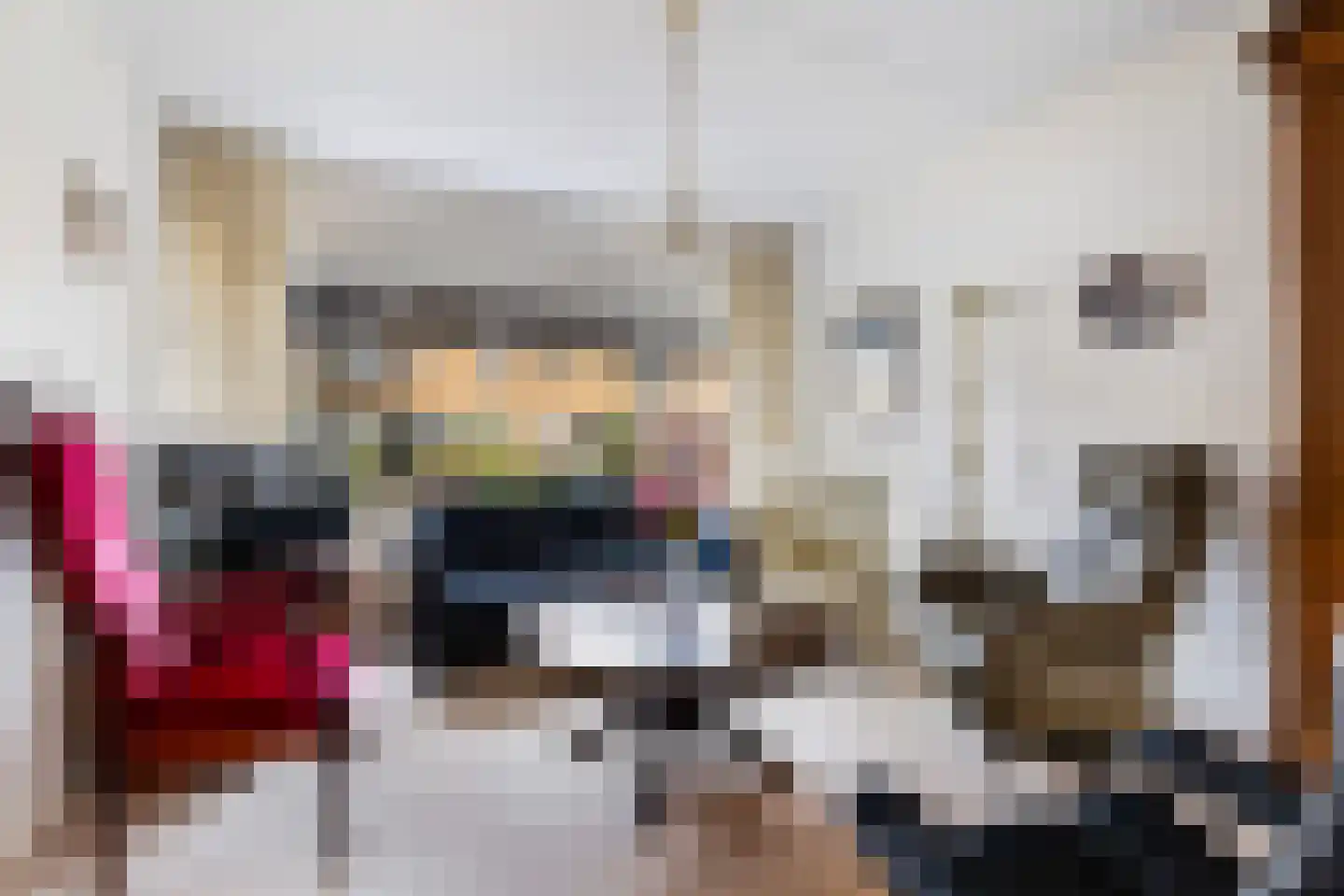 Schierstins 5 Sneek thumbnail 11