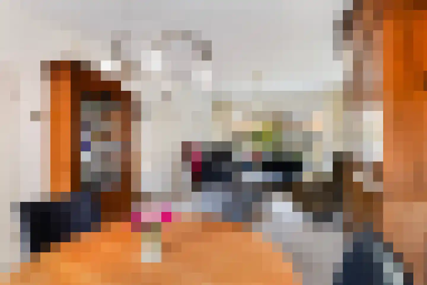 Schierstins 5 Sneek thumbnail 12