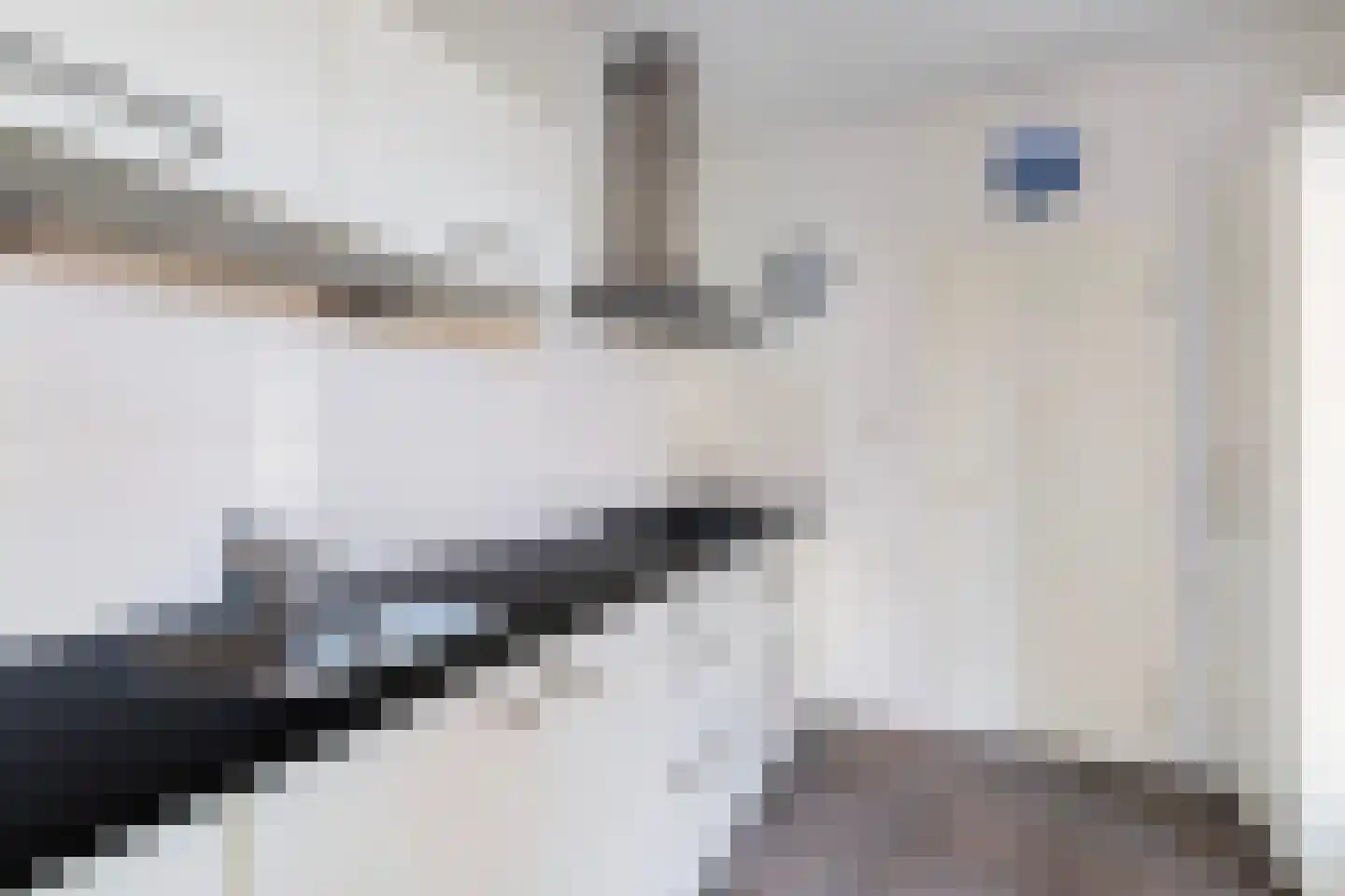 Schierstins 5 Sneek thumbnail 17