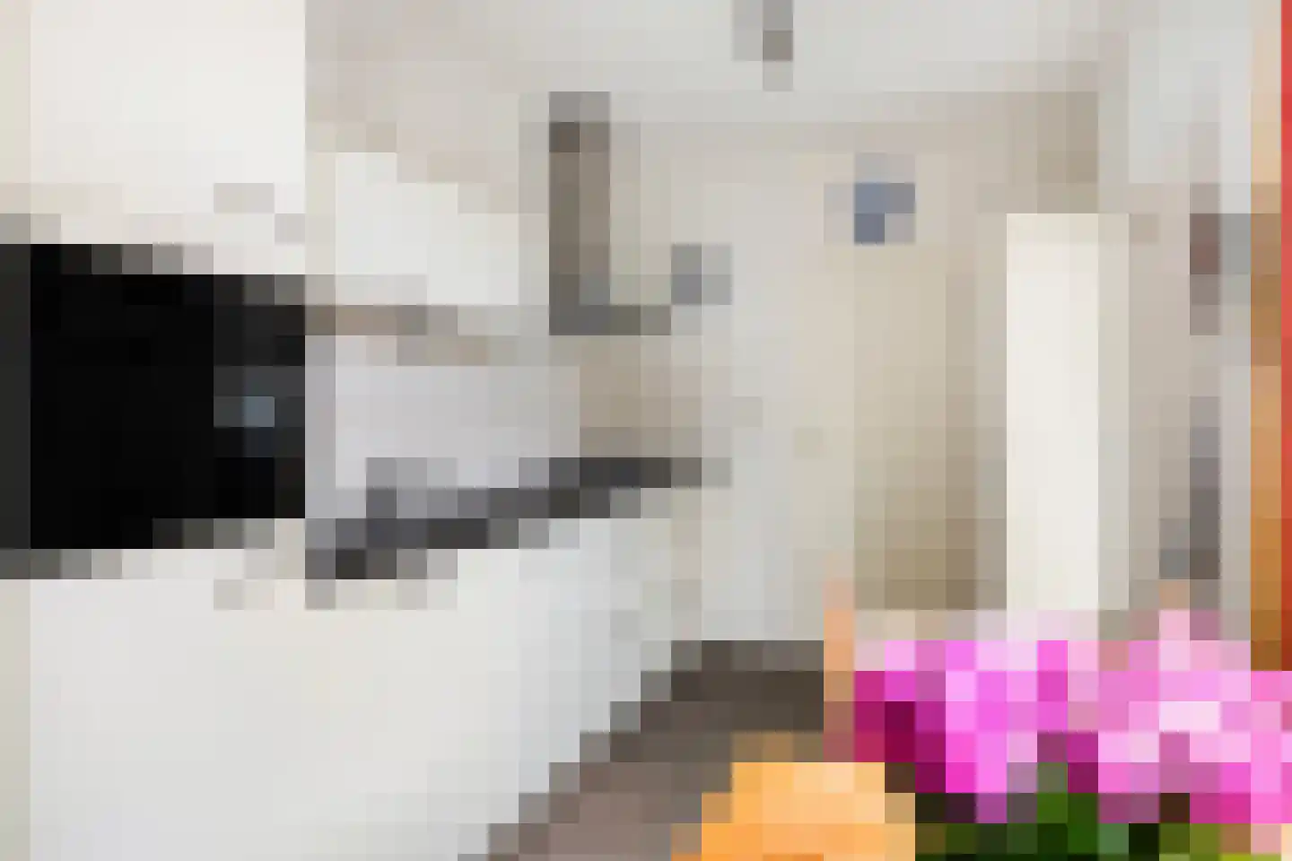 Schierstins 5 Sneek thumbnail 19