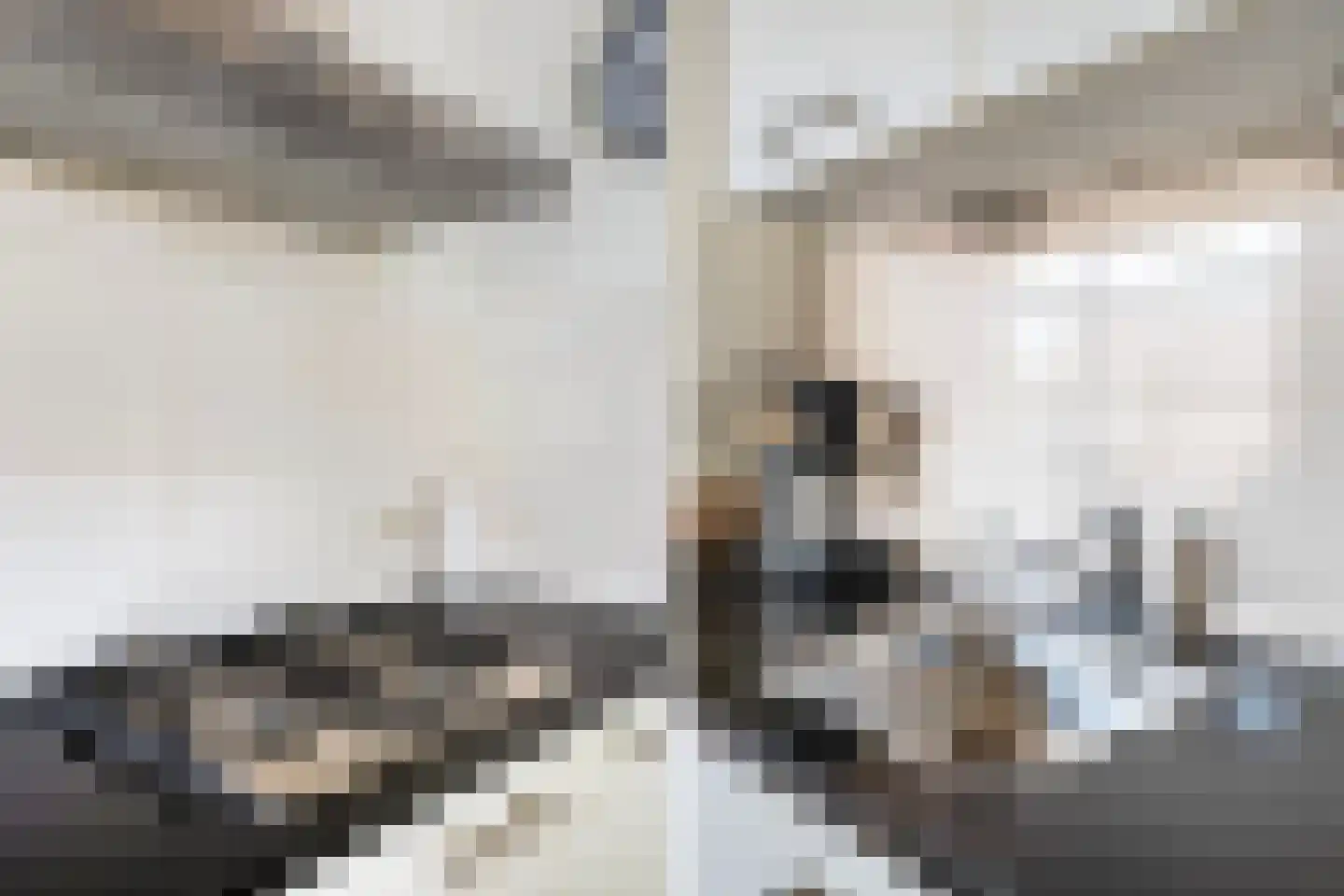 Schierstins 5 Sneek thumbnail 19