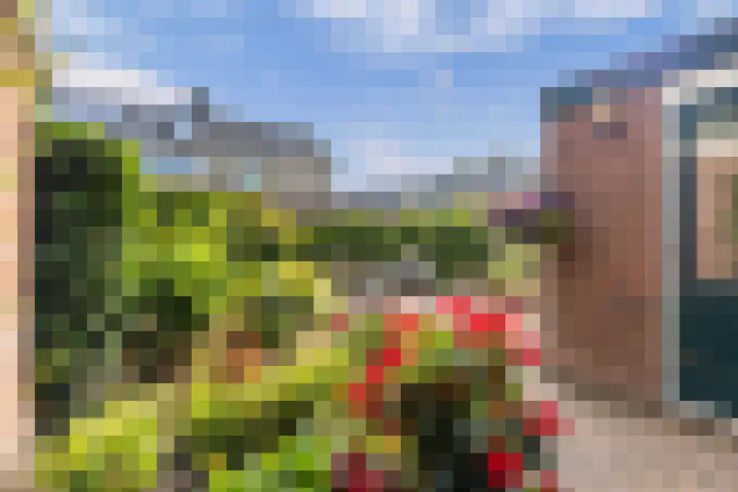 Schierstins 5 Sneek thumbnail 23