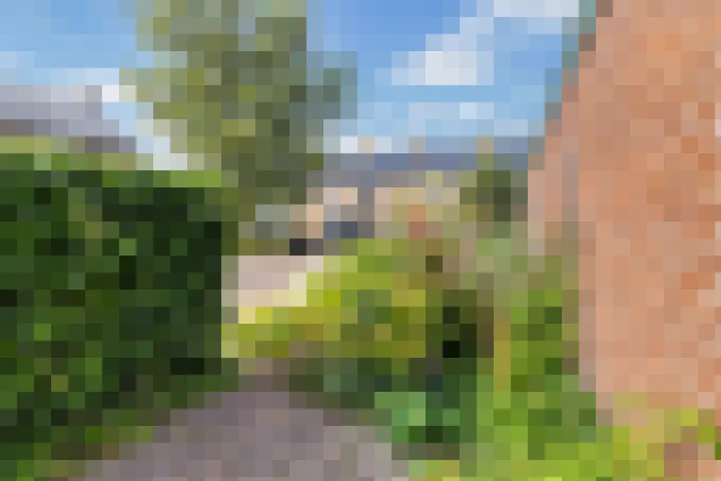 Schierstins 5 Sneek thumbnail 28