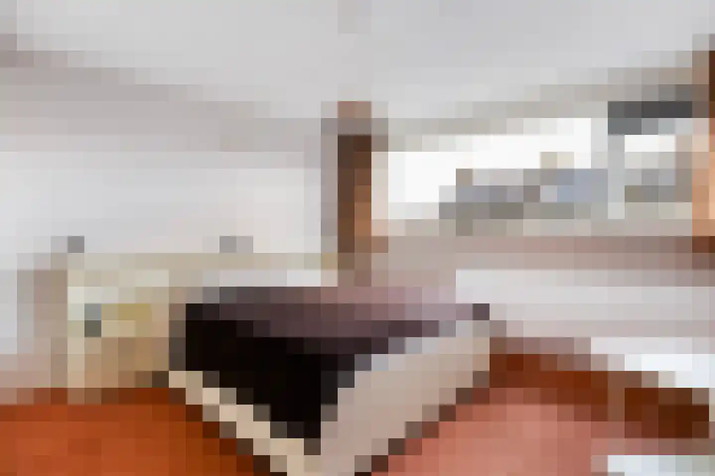 Schierstins 5 Sneek thumbnail 31