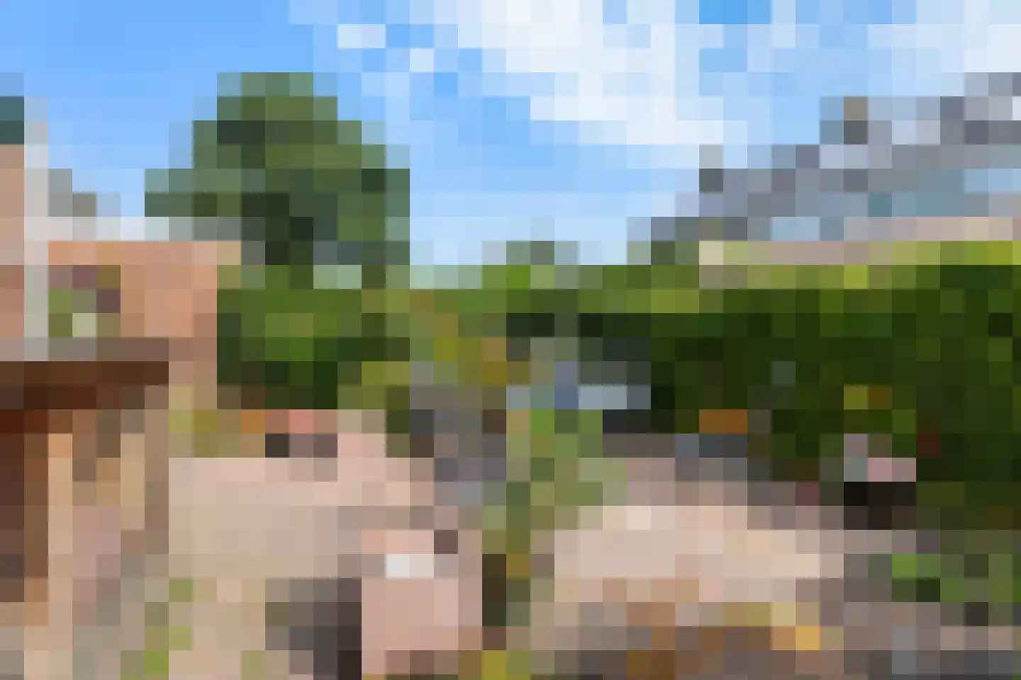 Schierstins 5 Sneek thumbnail 4