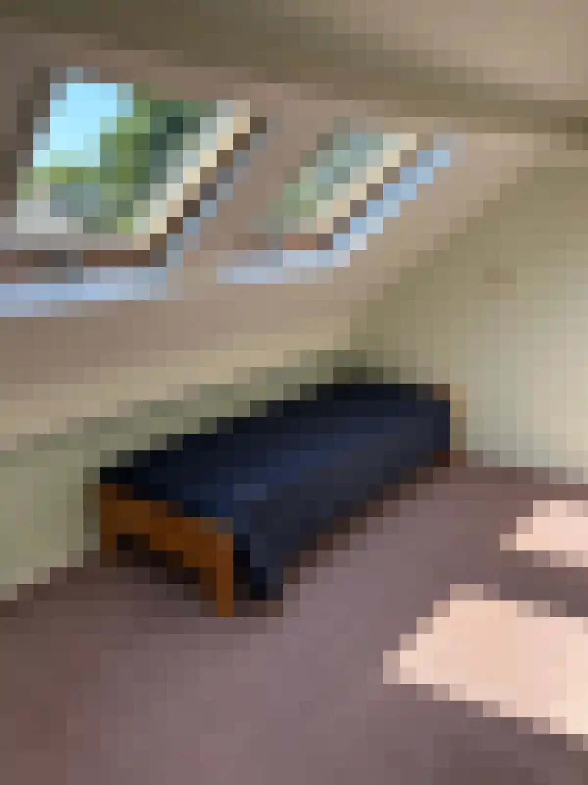 Schierstins 5 Sneek thumbnail 41