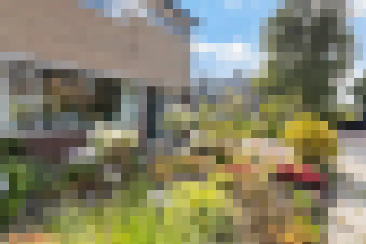 Schierstins 5 Sneek thumbnail 5