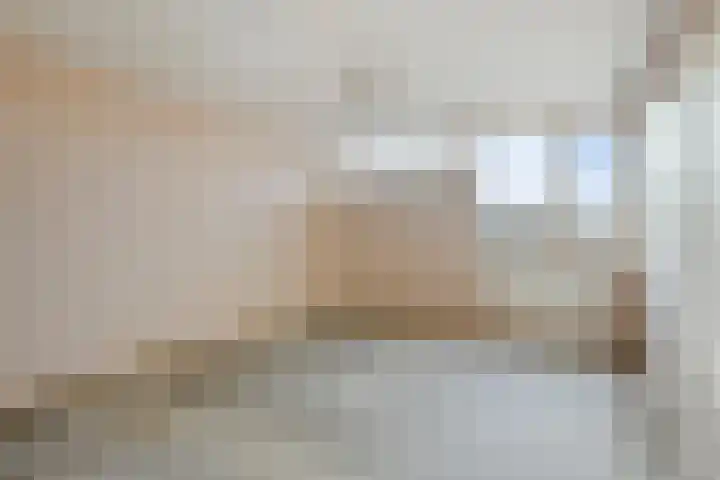 Schierstins 52 Almelo thumbnail 21
