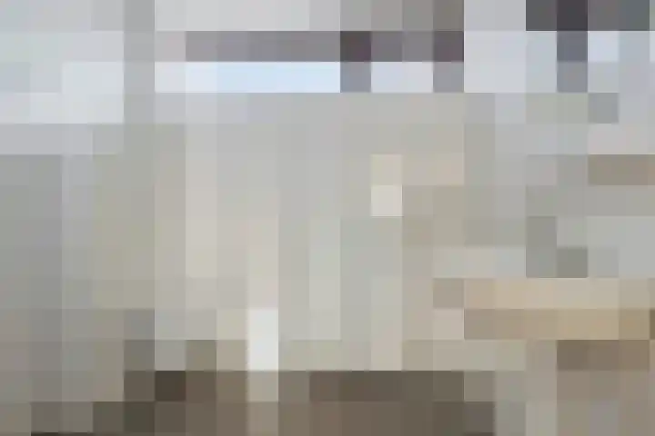 Schierstins 52 Almelo thumbnail 23