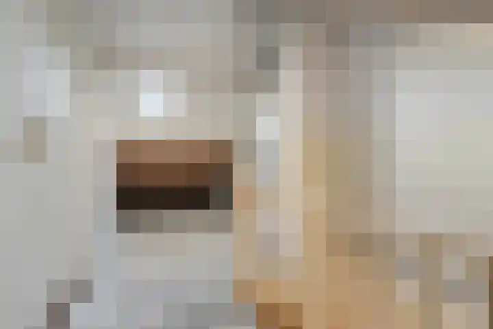 Schierstins 52 Almelo thumbnail 30