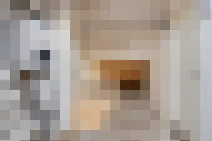 Schierstins 52 Almelo thumbnail 31