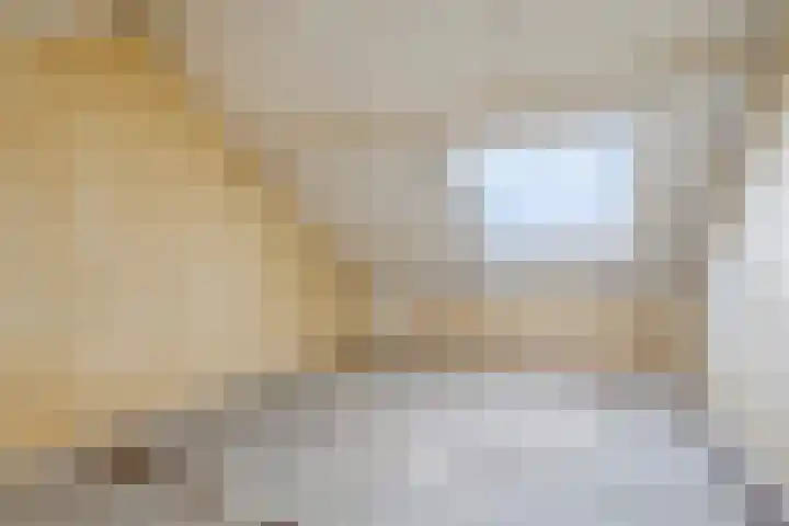 Schierstins 52 Almelo thumbnail 33