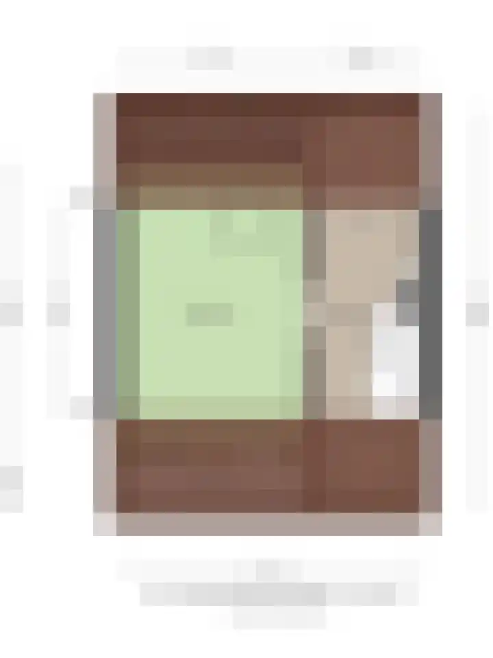 Schierstins 52 Almelo thumbnail 39