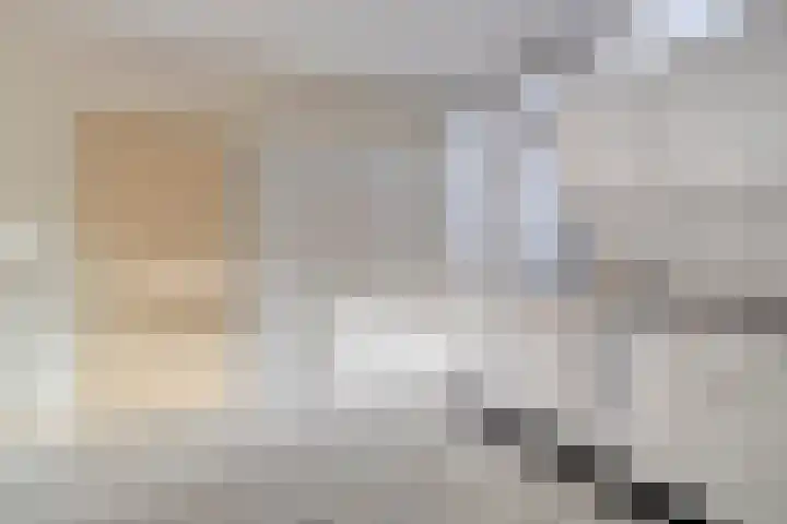 Schierstins 52 Almelo thumbnail 4