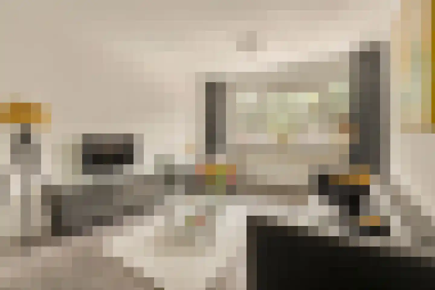 Schierstins 52 Amsterdam thumbnail 5