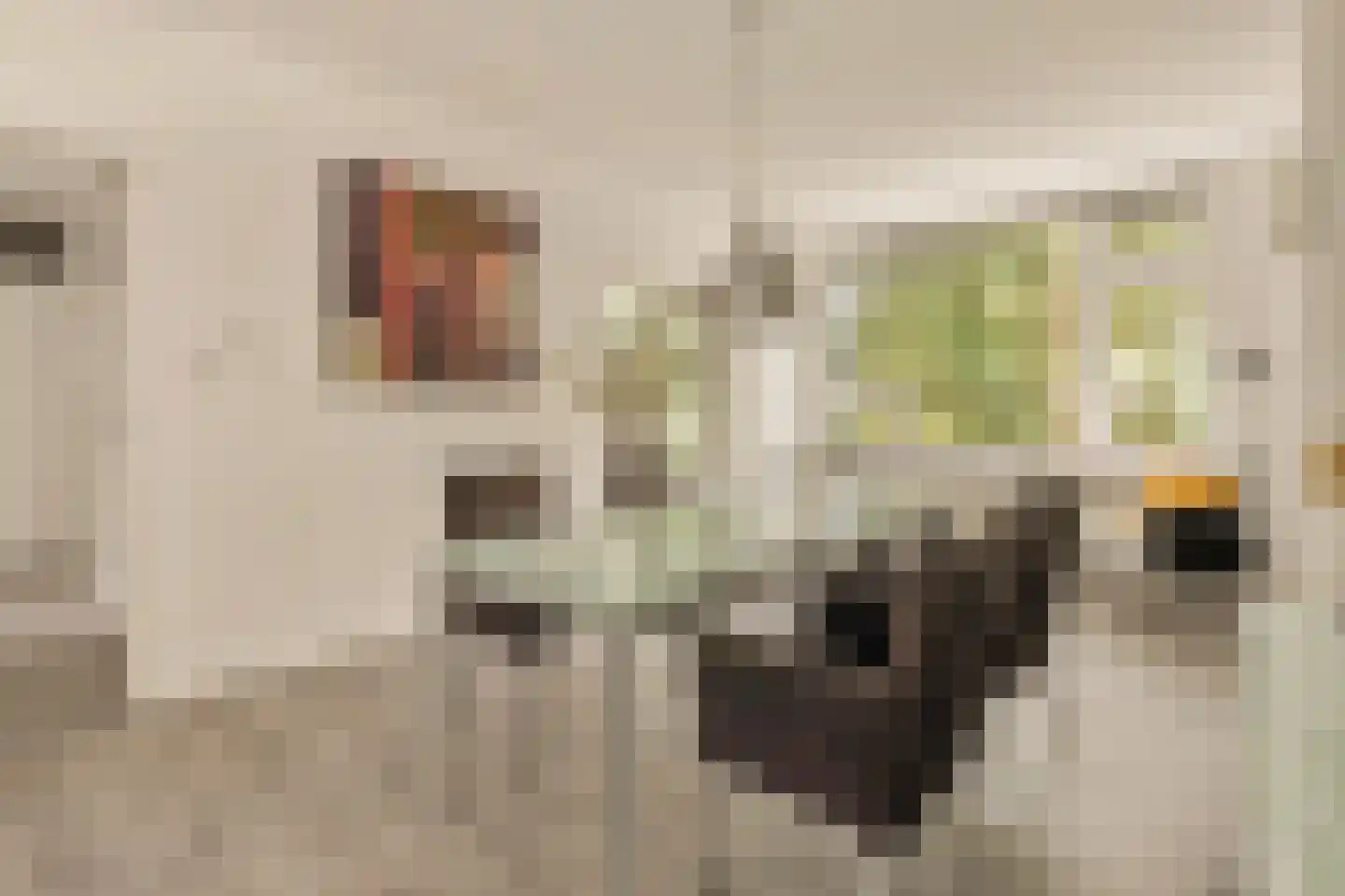 Schierstins 52 Amsterdam thumbnail 7