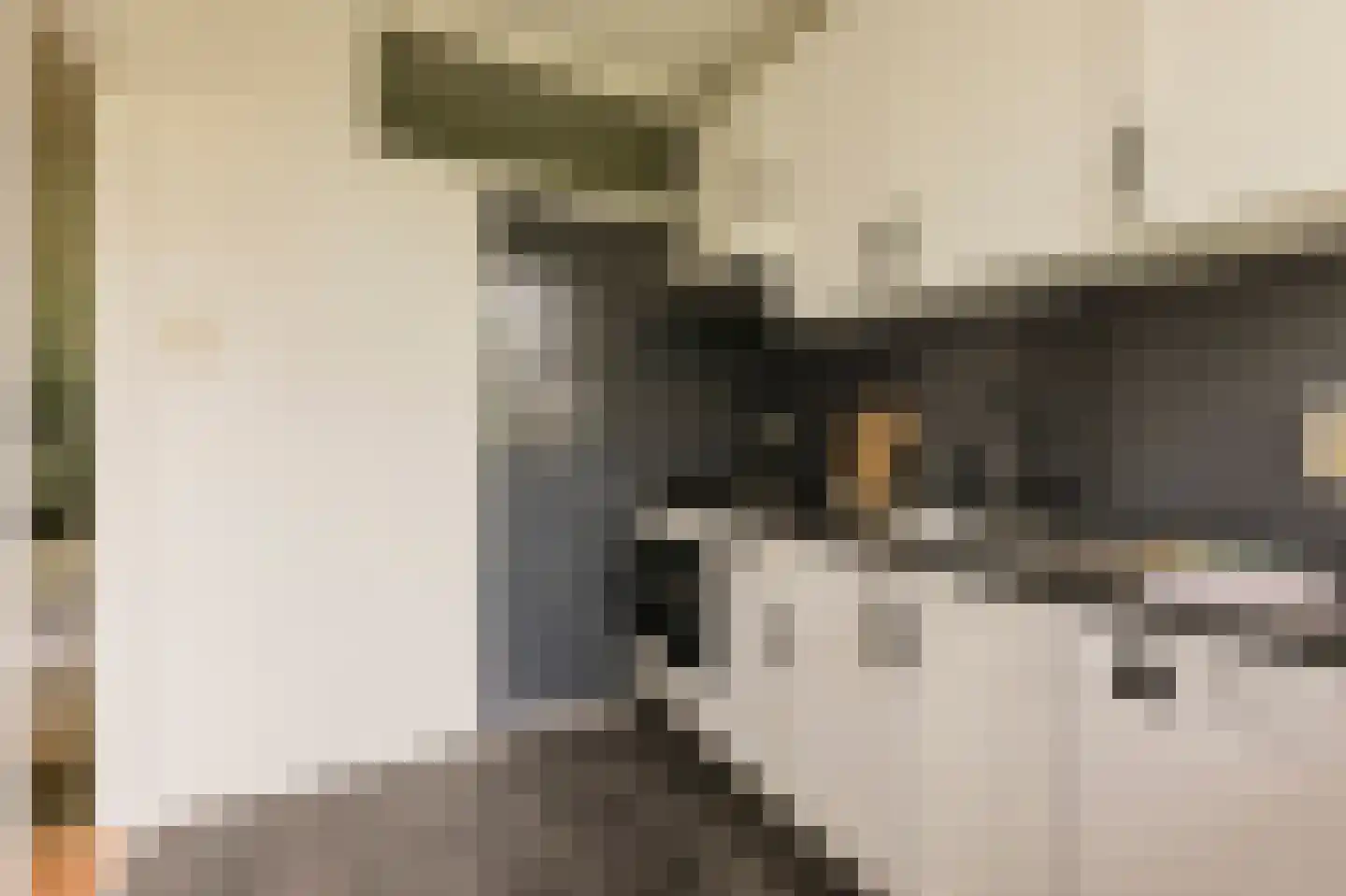Schierstins 56 Amsterdam thumbnail 10