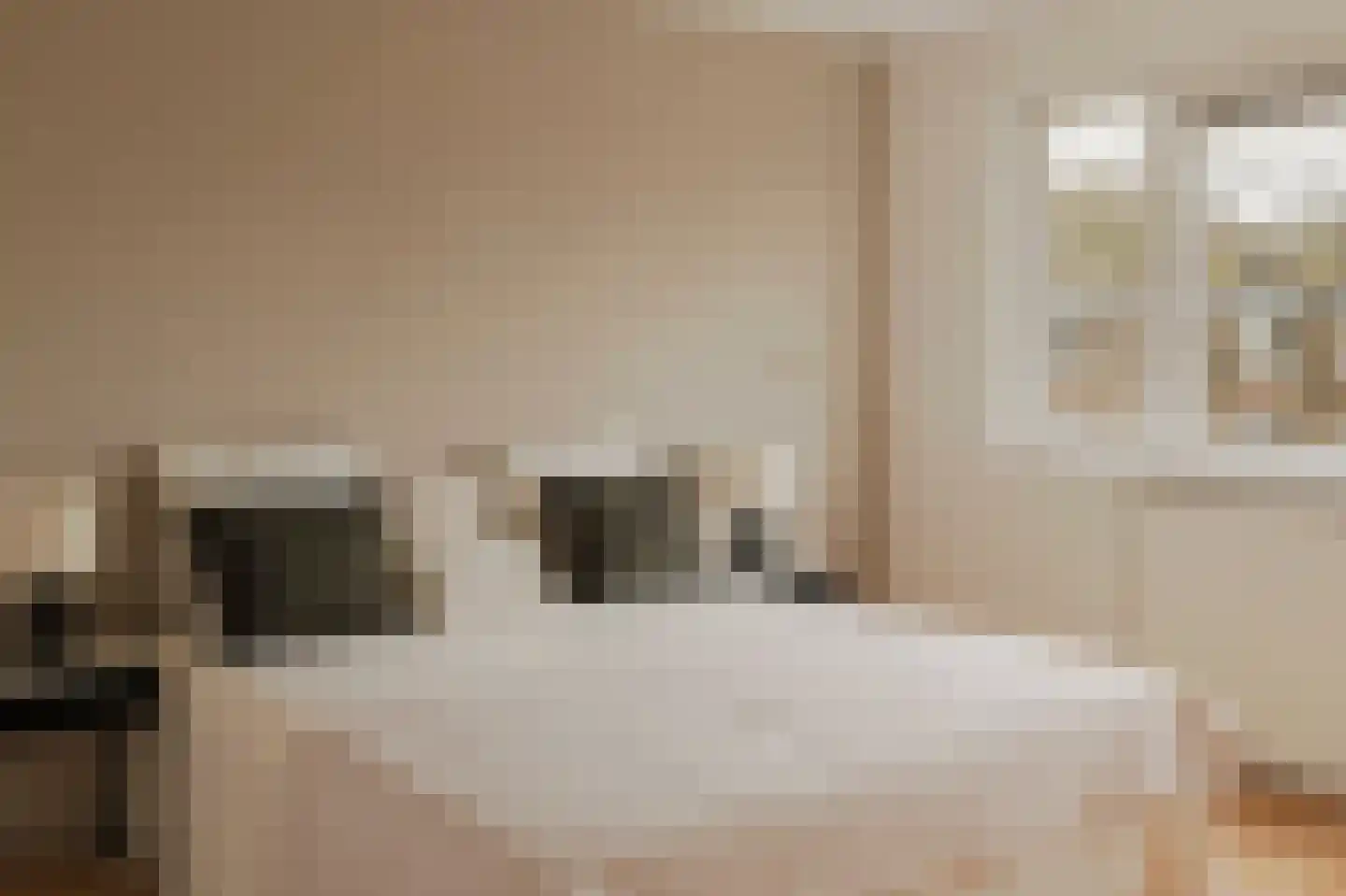 Schierstins 56 Amsterdam thumbnail 15