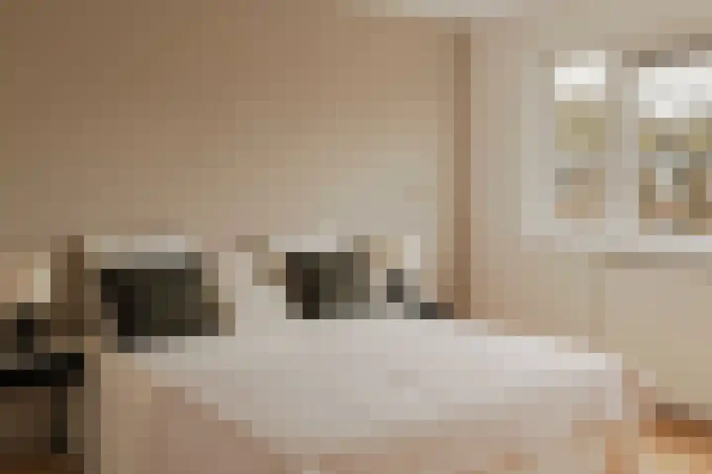 Schierstins 56 Amsterdam thumbnail 16