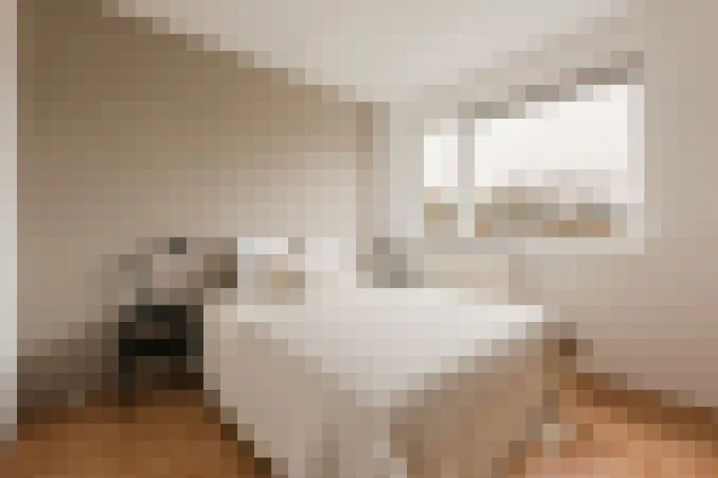 Schierstins 56 Amsterdam thumbnail 18