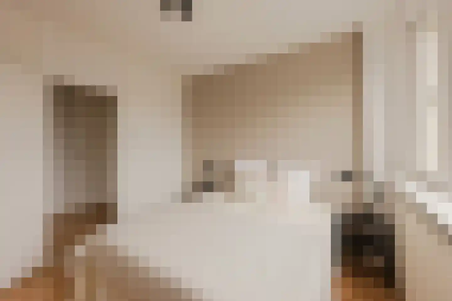 Schierstins 56 Amsterdam thumbnail 20