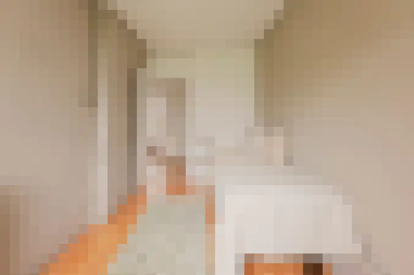 Schierstins 56 Amsterdam thumbnail 23