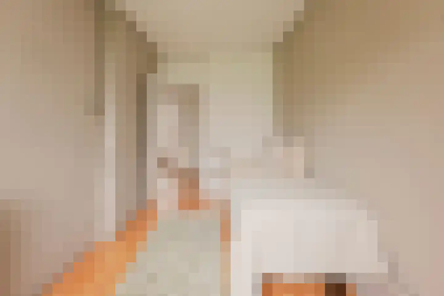 Schierstins 56 Amsterdam thumbnail 24