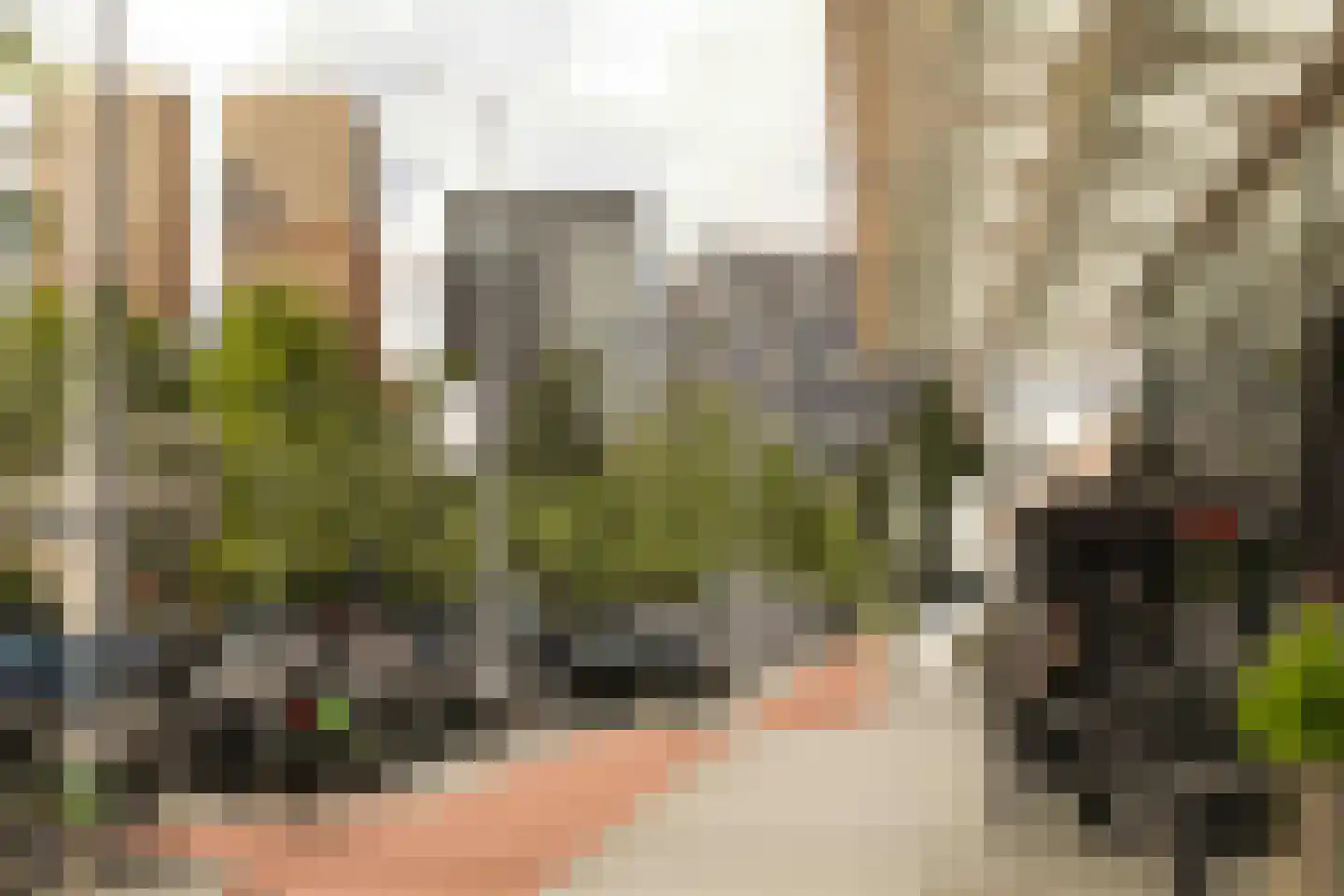 Schierstins 56 Amsterdam thumbnail 28