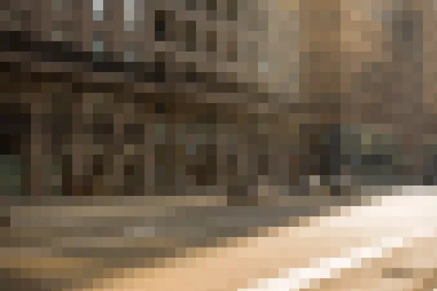 Schierstins 56 Amsterdam thumbnail 30