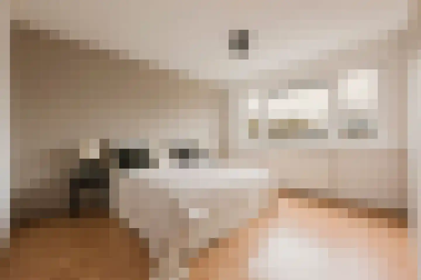 Schierstins 56 Amsterdam thumbnail 4
