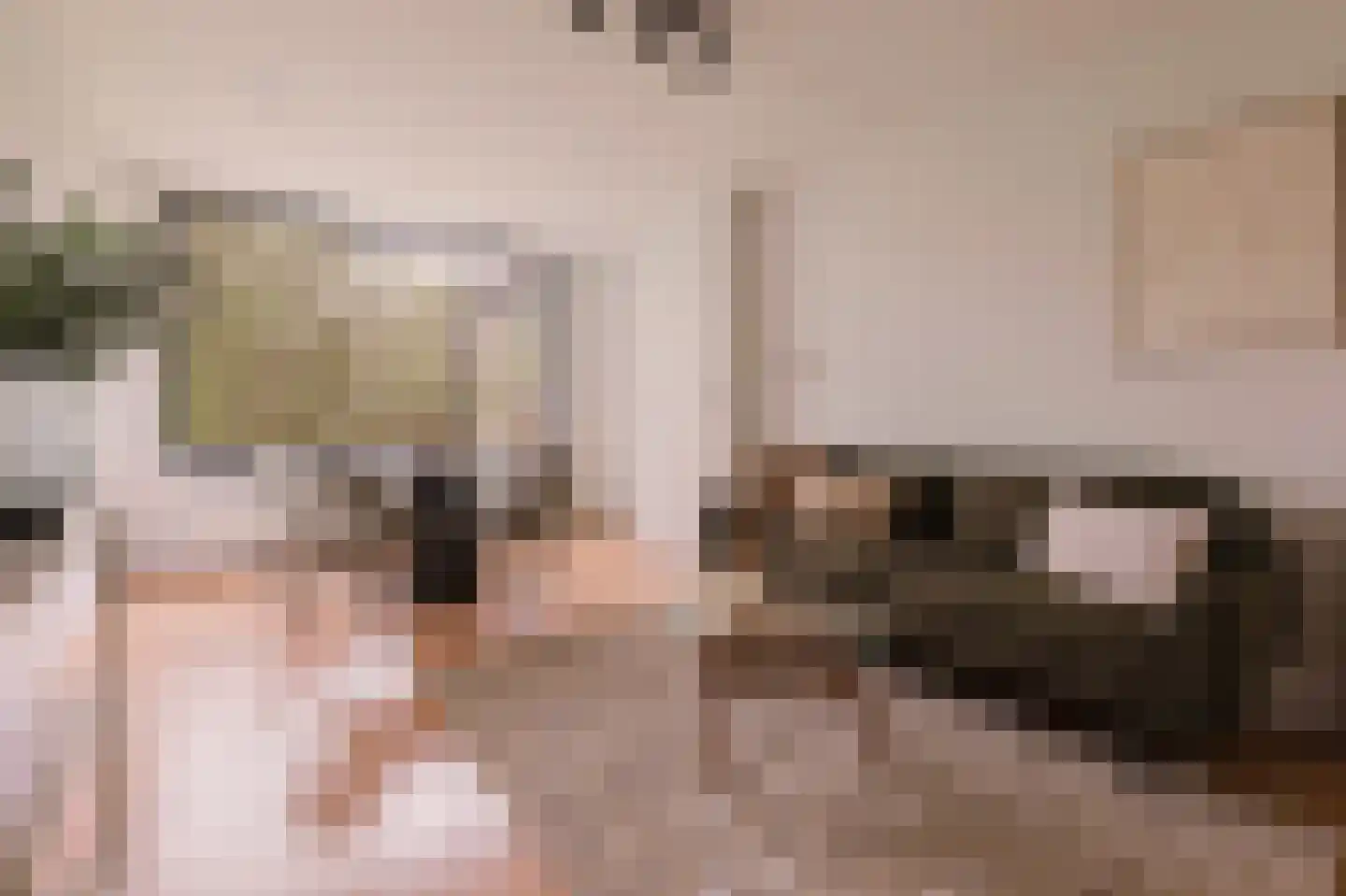 Schierstins 56 Amsterdam thumbnail 6