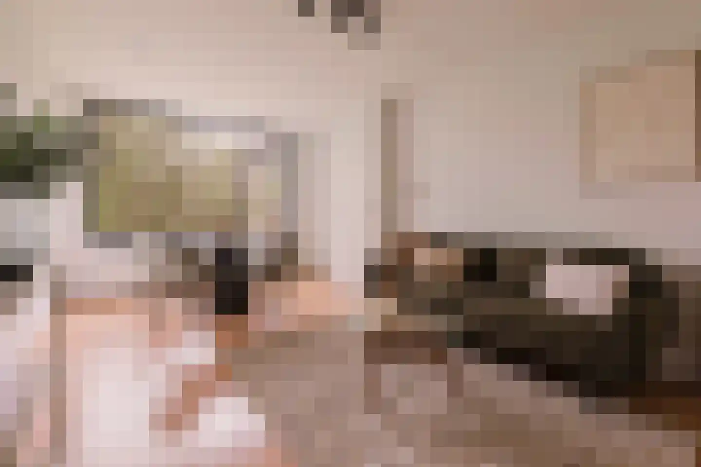 Schierstins 56 Amsterdam thumbnail 6