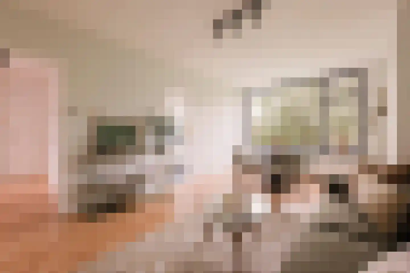 Schierstins 56 Amsterdam thumbnail 7