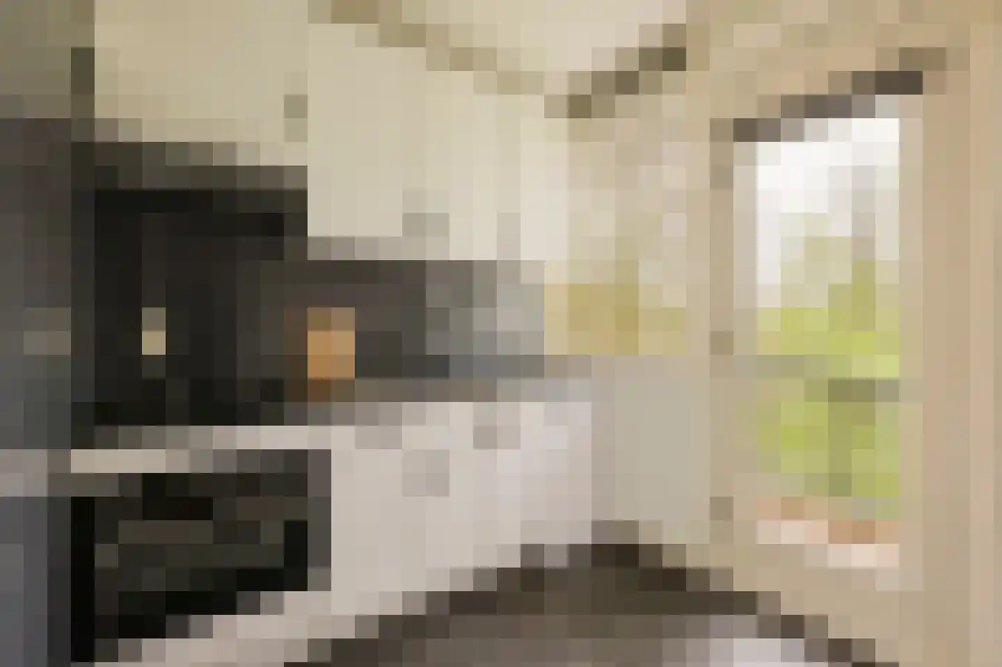 Schierstins 56 Amsterdam thumbnail 8