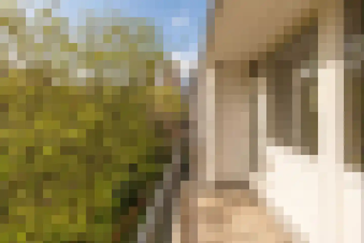 Schierstins 56 Amsterdam thumbnail 9