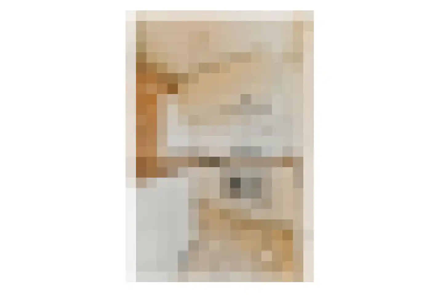 Schierstins 6 Amsterdam thumbnail 12