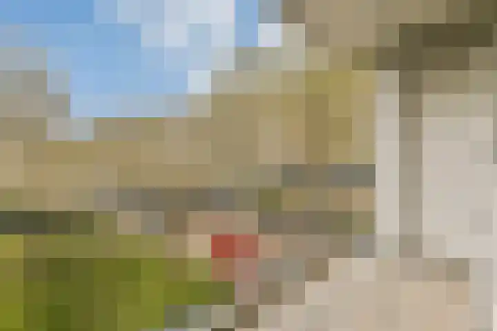 Schierstins 6 Amsterdam thumbnail 14