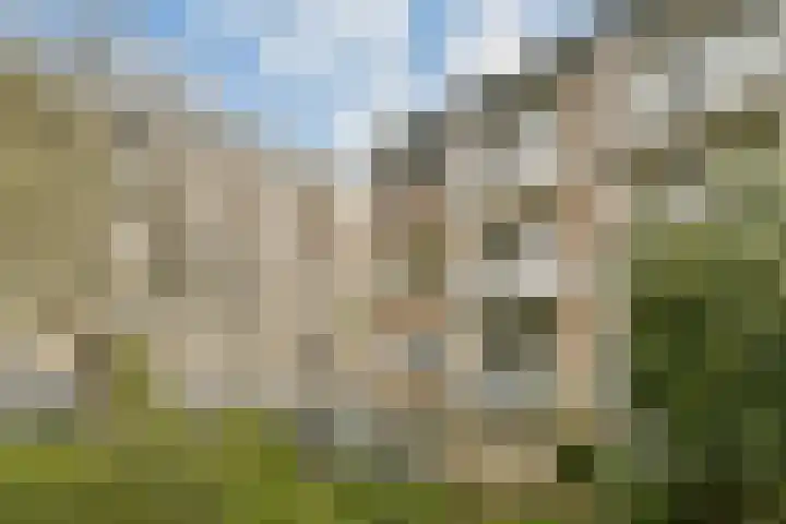 Schierstins 6 Amsterdam thumbnail 23