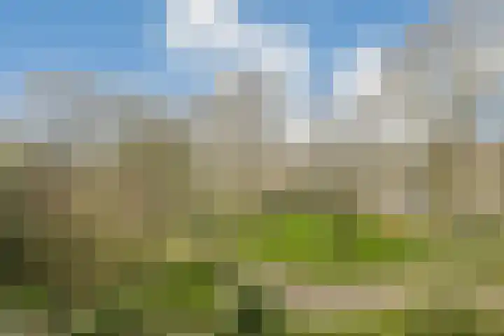 Schierstins 6 Amsterdam thumbnail 26