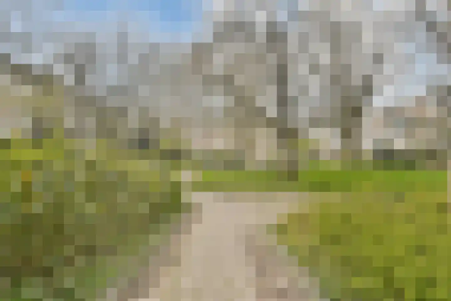 Schierstins 6 Amsterdam thumbnail 27