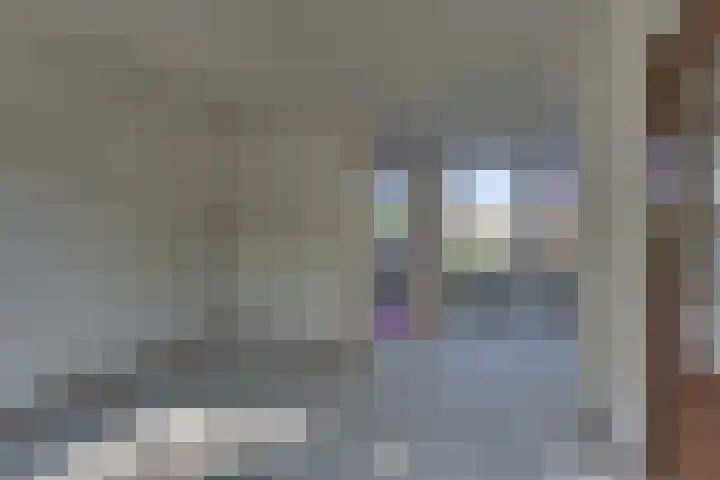 Schierstins 70 Almelo thumbnail 11
