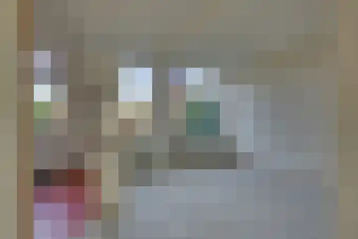 Schierstins 70 Almelo thumbnail 12