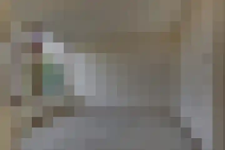 Schierstins 70 Almelo thumbnail 13