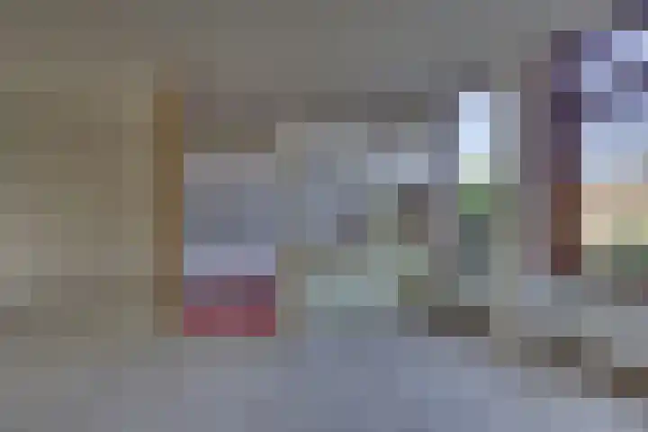 Schierstins 70 Almelo thumbnail 14