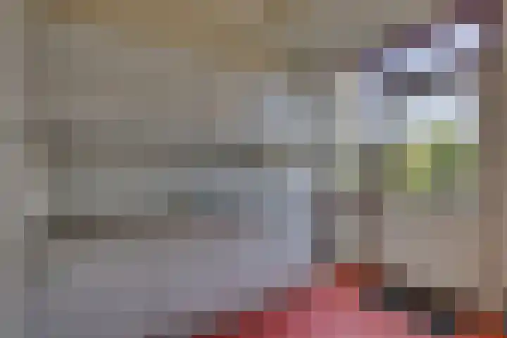 Schierstins 70 Almelo thumbnail 15